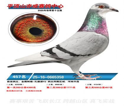 ƽ��ɽ��ɾ���457��