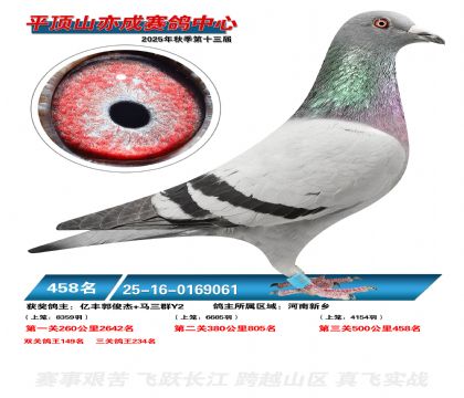 ƽ��ɽ��ɾ���458��