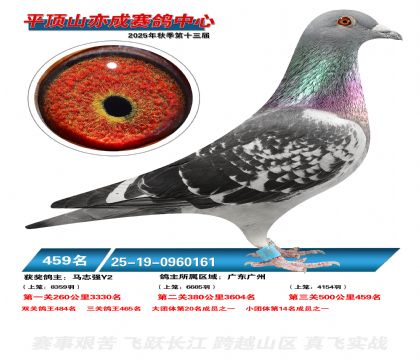 ƽ��ɽ��ɾ���459��