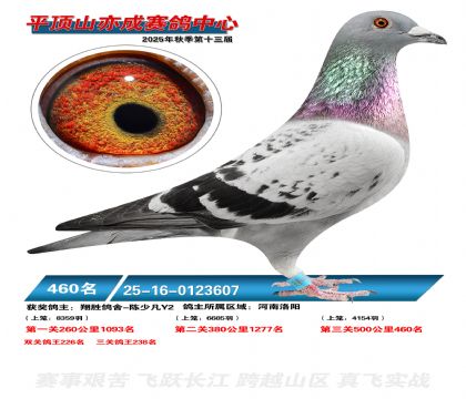 ƽ��ɽ��ɾ���460��