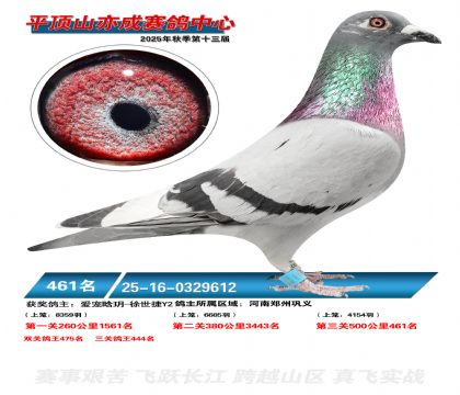 ƽ��ɽ��ɾ���461��