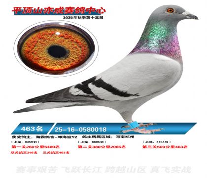 ƽ��ɽ��ɾ���463��