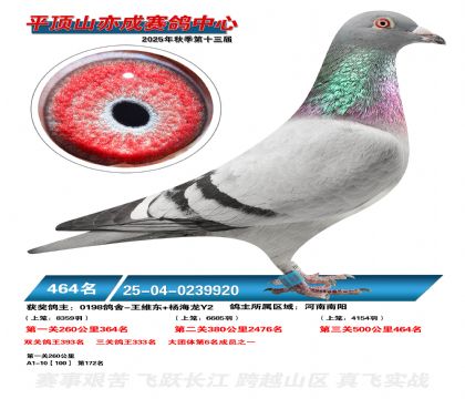 ƽ��ɽ��ɾ���464��