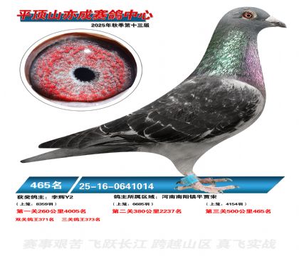 ƽ��ɽ��ɾ���465��