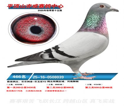 ƽ��ɽ��ɾ���466��