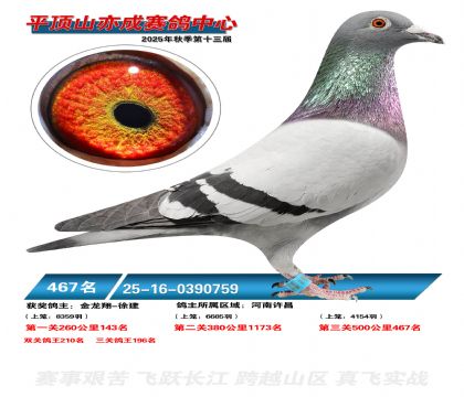 ƽ��ɽ��ɾ���467��