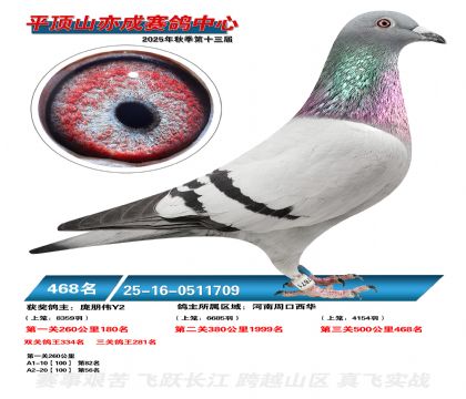 ƽ��ɽ��ɾ���468��