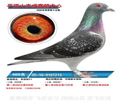 ƽ��ɽ��ɾ���469��