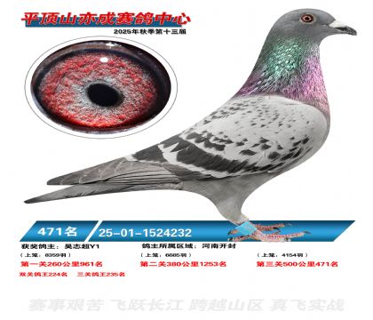 ƽ��ɽ��ɾ���471��