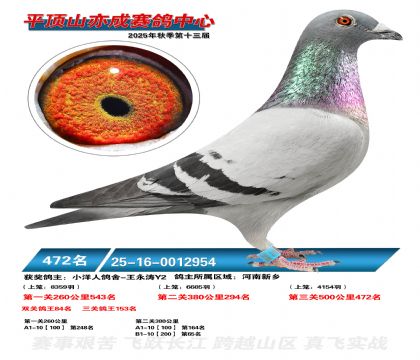 ƽ��ɽ��ɾ���472��