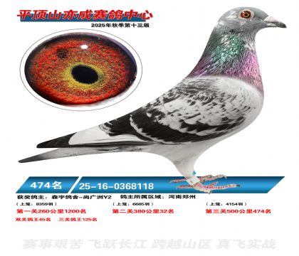 ƽ��ɽ��ɾ���474��