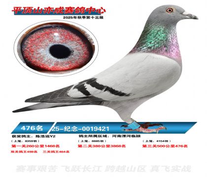 ƽ��ɽ��ɾ���476��