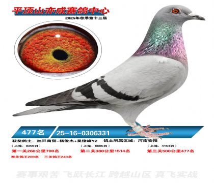 ƽ��ɽ��ɾ���477��