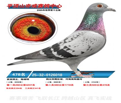 ƽ��ɽ��ɾ���478��