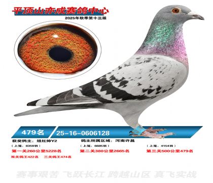 ƽ��ɽ��ɾ���479��