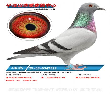 ƽ��ɽ��ɾ���483��