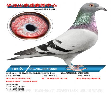 ƽ��ɽ��ɾ���485��