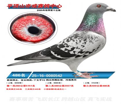 ƽ��ɽ��ɾ���486��