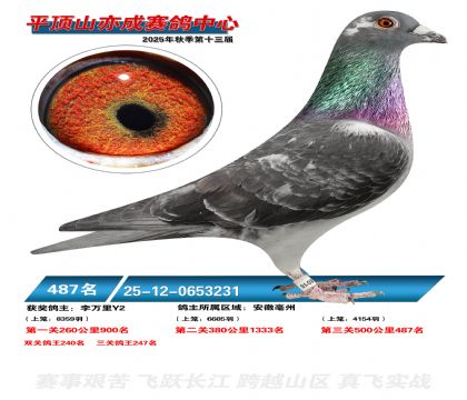 ƽ��ɽ��ɾ���487��