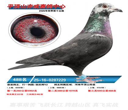 ƽ��ɽ��ɾ���488��