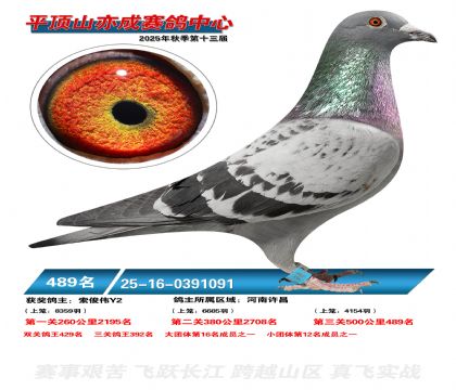 ƽ��ɽ��ɾ���489��