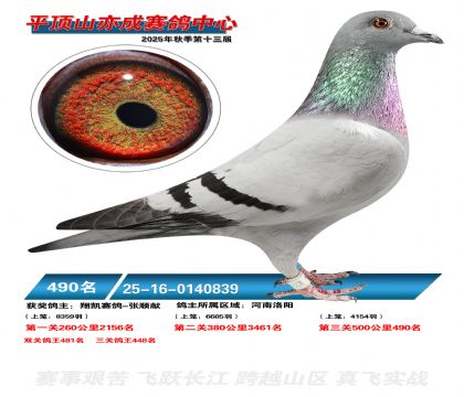 ƽ��ɽ��ɾ���490��