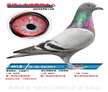 ƽ��ɽ��ɾ���491��