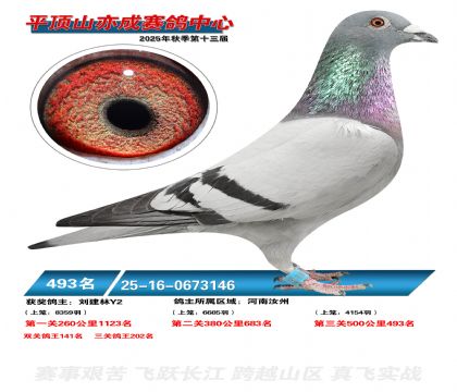 ƽ��ɽ��ɾ���493��