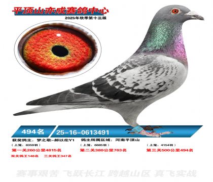 ƽ��ɽ��ɾ���494��