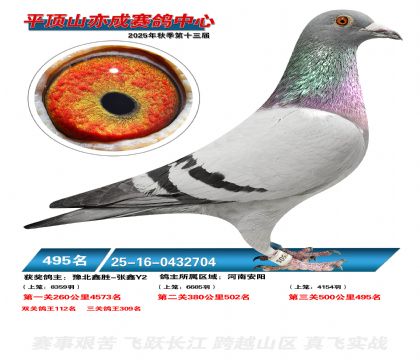 ƽ��ɽ��ɾ���495��