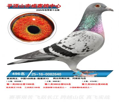 ƽ��ɽ��ɾ���496��