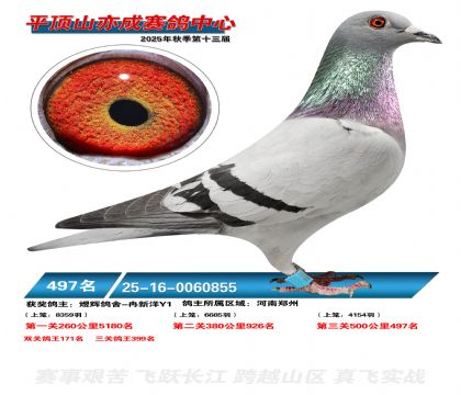 ƽ��ɽ��ɾ���497��