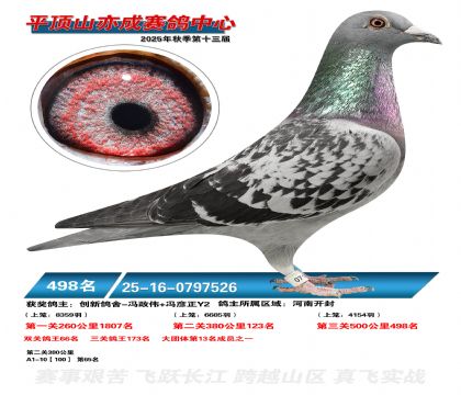 ƽ��ɽ��ɾ���498��