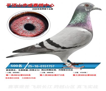 ƽ��ɽ��ɾ���500��