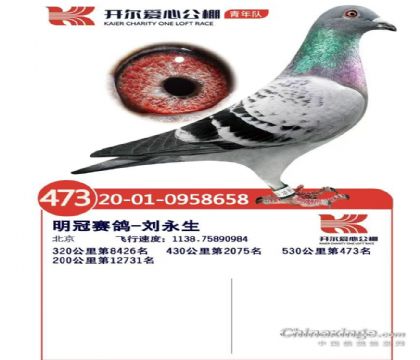 �������룬����20��ͬ��