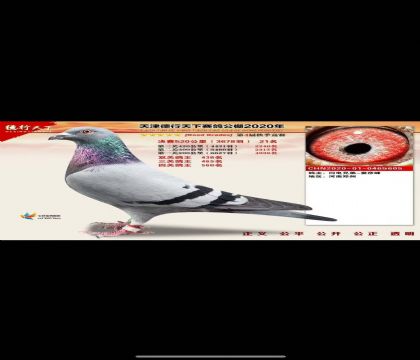 �����Ƽ��������ĸ