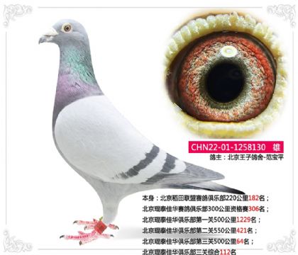 ������̩�ѻ����ֲ������ۺ�112��      ��	