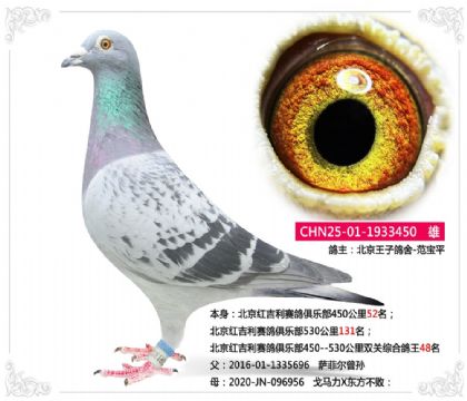 �����켪��������ֲ�˫���ۺϸ���48��    ��	