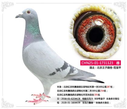 �����켪��������ֲ��رȻ�˫���ۺ�195��    ��	