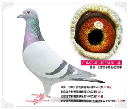 �����켪��������ֲ�˫���ۺϸ���109��   ��	