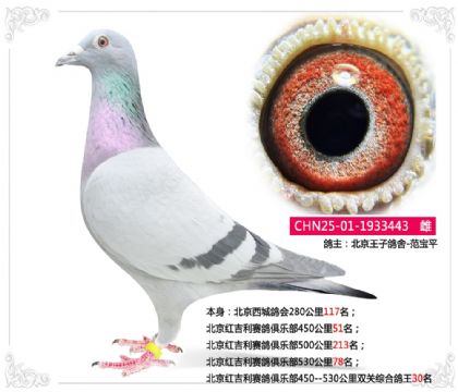 �����켪��������ֲ�˫���ۺϸ���30��     ��	