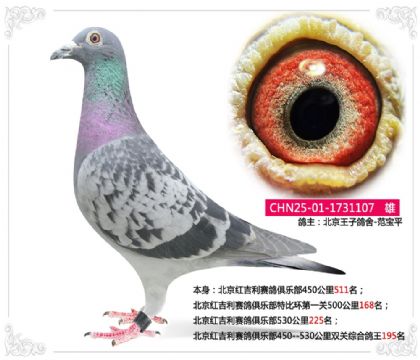 �����켪��������ֲ�˫���ۺϸ���195��    ��	