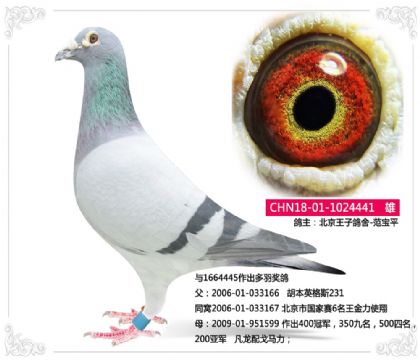 �������Ӹ���-441   ��	