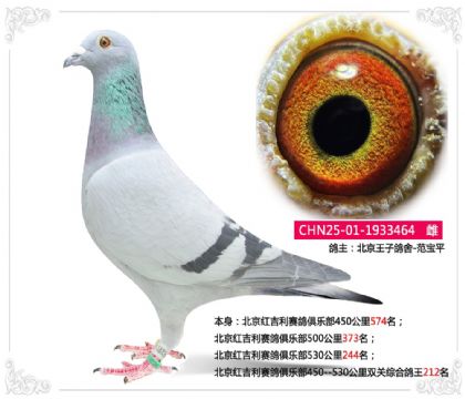 �����켪��������ֲ�˫���ۺϸ���212��   ��	