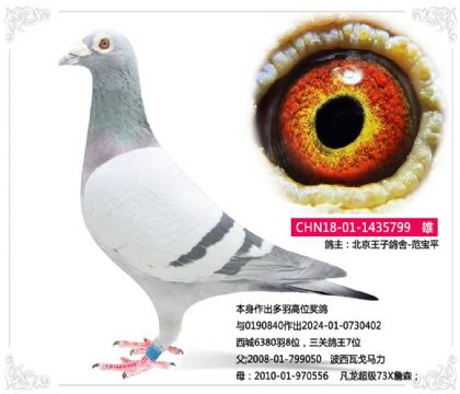 �������Ӹ���-���������λ����799   ��	