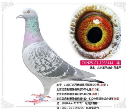 �����켪��������ֲ�˫���ۺϸ���46��   ��	