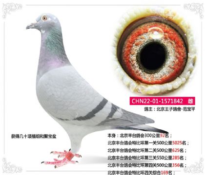 ������̨����رȻ��Ĺ��ۺ�169��   ��	