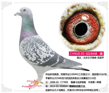 �������Ӹ���-�������𽱸�448   ��	