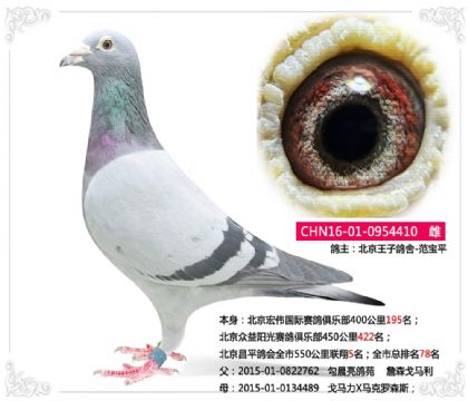 ������ƽ���ȫ��550��������5��   ��