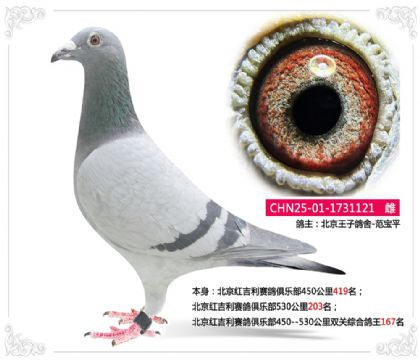 �����켪��������ֲ�˫���ۺϸ���167��   ��	